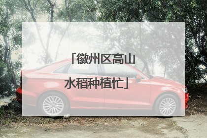 徽州区高山水稻种植忙