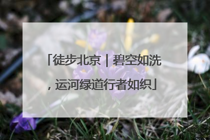 徒步北京｜碧空如洗，运河绿道行者如织