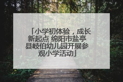 小学初体验，成长新起点 绵阳市盐亭县岐伯幼儿园开展参观小学活动
