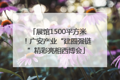 展馆1500平方米！广安产业“建圈强链”精彩亮相西博会