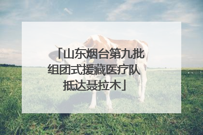 山东烟台第九批组团式援藏医疗队抵达聂拉木