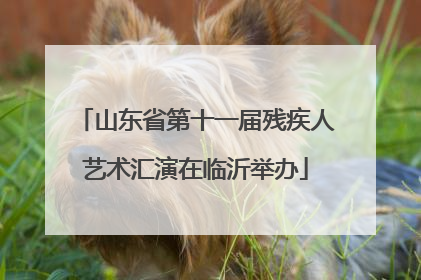 山东省第十一届残疾人艺术汇演在临沂举办