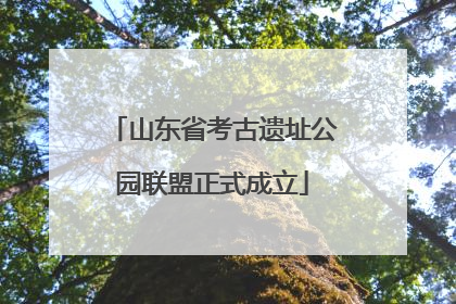 山东省考古遗址公园联盟正式成立