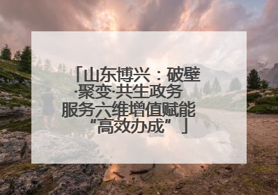 山东博兴：破壁·聚变·共生政务服务六维增值赋能“高效办成”