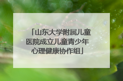山东大学附属儿童医院成立儿童青少年心理健康协作组