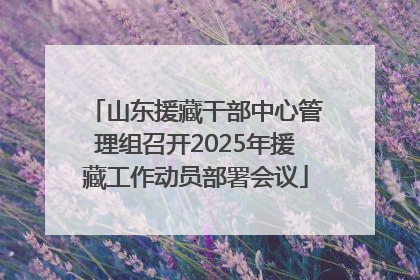 山东援藏干部中心管理组召开2025年援藏工作动员部署会议