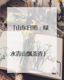 山东日照：绿水青山飘茶香