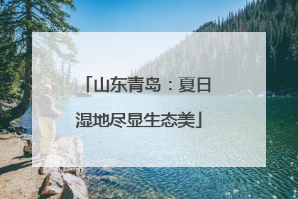 山东青岛：夏日湿地尽显生态美