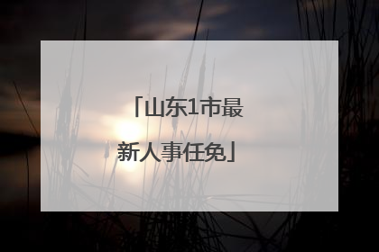 山东1市最新人事任免