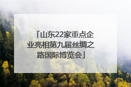 山东22家重点企业亮相第九届丝绸之路国际博览会