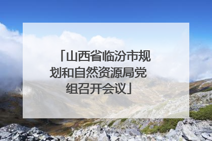 山西省临汾市规划和自然资源局党组召开会议