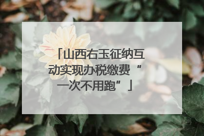 山西右玉征纳互动实现办税缴费“一次不用跑”
