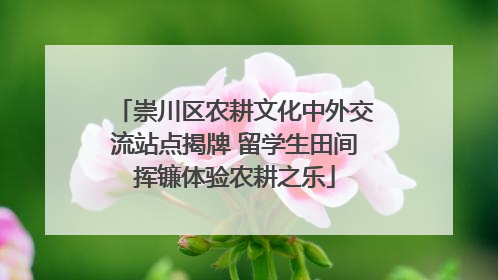 崇川区农耕文化中外交流站点揭牌 留学生田间挥镰体验农耕之乐