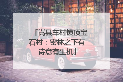 嵩县车村镇顶宝石村：密林之下有诗意有生机