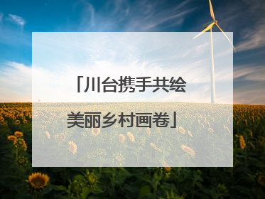 川台携手共绘美丽乡村画卷