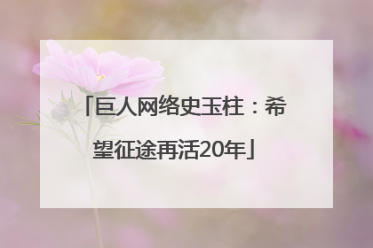 巨人网络史玉柱：希望征途再活20年