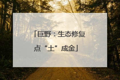 巨野：生态修复点“土”成金