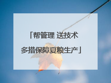 帮管理 送技术 多措保障夏粮生产
