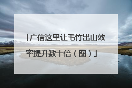 广信这里让毛竹出山效率提升数十倍（图）