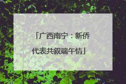 广西南宁：新侨代表共叙端午情