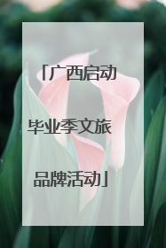 广西启动毕业季文旅品牌活动