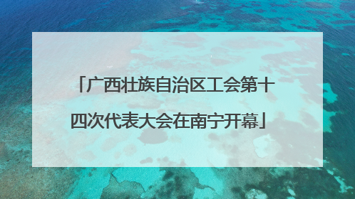 广西壮族自治区工会第十四次代表大会在南宁开幕