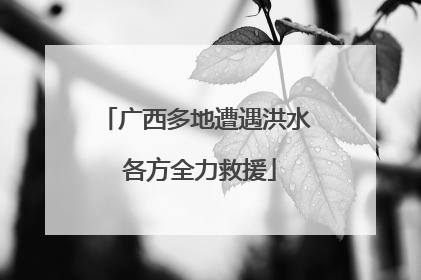 广西多地遭遇洪水 各方全力救援
