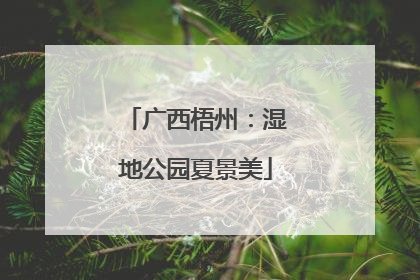 广西梧州：湿地公园夏景美