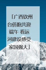 广西钦州台侨胞共迎端午 看运河建设感受家国强大