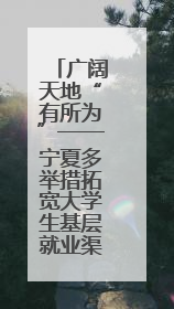 广阔天地“有所为”——宁夏多举措拓宽大学生基层就业渠道