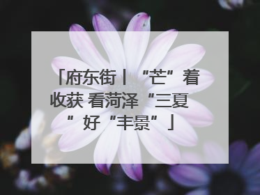 府东街丨“芒”着收获 看菏泽“三夏”好“丰景”
