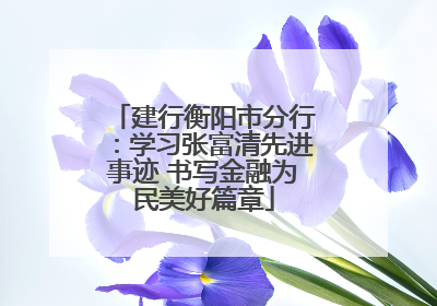 建行衡阳市分行：学习张富清先进事迹 书写金融为民美好篇章