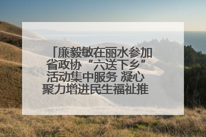 廉毅敏在丽水参加省政协“六送下乡”活动集中服务 凝心聚力增进民生福祉推进共同富裕