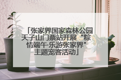 张家界国家森林公园天子山门票站开展“粽情端午·乐游张家界”主题宠客活动