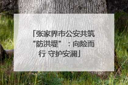 张家界市公安共筑“防洪堤”：向险而行 守护安澜
