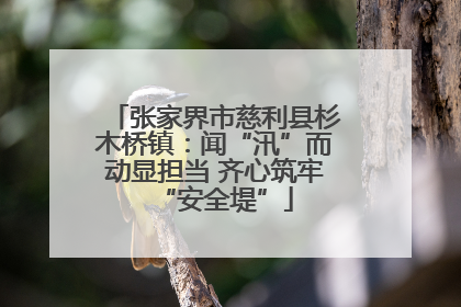张家界市慈利县杉木桥镇：闻“汛”而动显担当 齐心筑牢“安全堤”