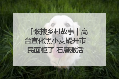 张掖乡村故事｜高台宣化黑小麦撬开市民面柜子 石磨激活村集体钱匣子