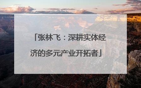 张林飞：深耕实体经济的多元产业开拓者