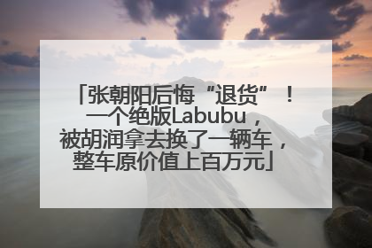张朝阳后悔“退货”！一个绝版Labubu，被胡润拿去换了一辆车，整车原价值上百万元