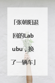 张朝阳退回的Labubu，换了一辆车