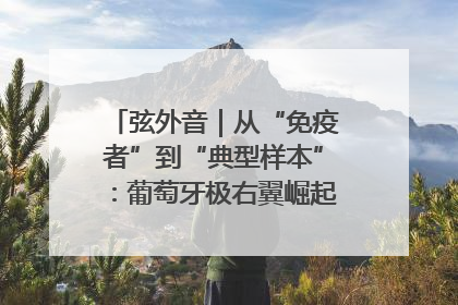 弦外音｜从“免疫者”到“典型样本”：葡萄牙极右翼崛起背后的欧洲困局