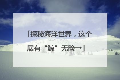 探秘海洋世界，这个展有“鲸”无险→