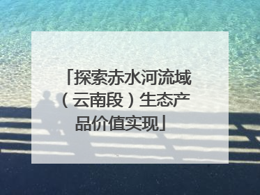 探索赤水河流域（云南段）生态产品价值实现