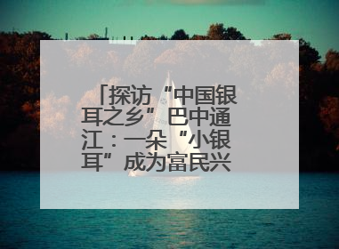 探访“中国银耳之乡”巴中通江：一朵“小银耳”成为富民兴县“大产业”
