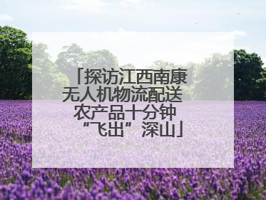 探访江西南康无人机物流配送 农产品十分钟“飞出”深山
