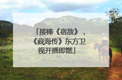 接棒《宿敌》，《藏海传》东方卫视开播即燃