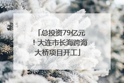 总投资79亿元！大连市长海跨海大桥项目开工