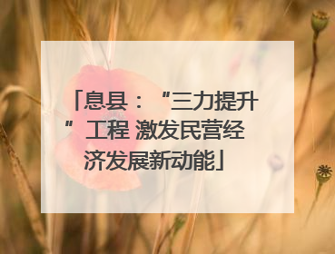 息县：“三力提升”工程 激发民营经济发展新动能