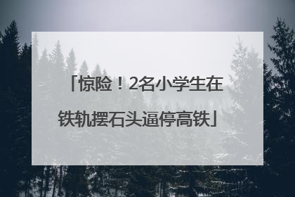 惊险！2名小学生在铁轨摆石头逼停高铁