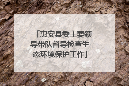 惠安县委主要领导带队督导检查生态环境保护工作